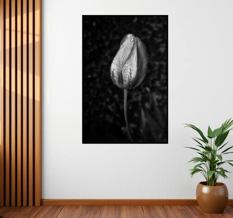 Original Contemporary Floral Photography by Sarah C Perkins