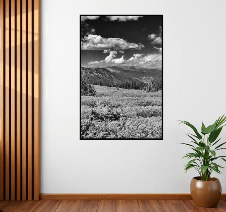Original Contemporary Landscape Photography by Sarah C Perkins