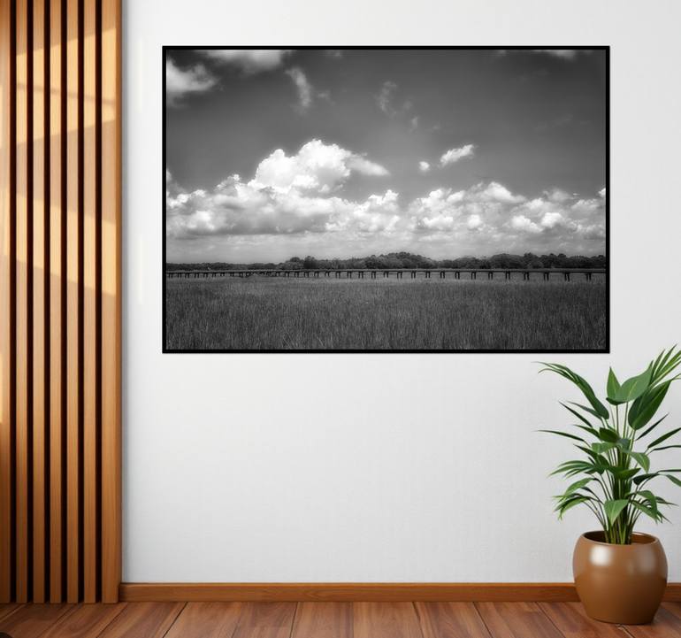Original Contemporary Landscape Photography by Sarah C Perkins