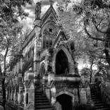 Dexter b&w- Limited Edition of 25 by Sarah C Perkins