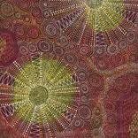 Collection Bold and Bright