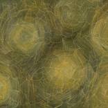 Collection Navigating Landscapes