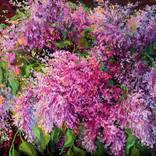 Collection Curator Picks: The Other Art Fair Dallas Spring 2024