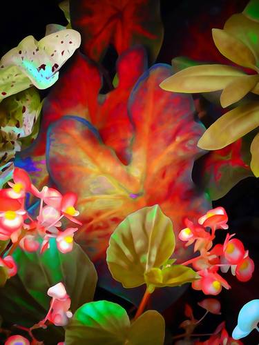 Original Fine Art Floral Photography by Mark Ross