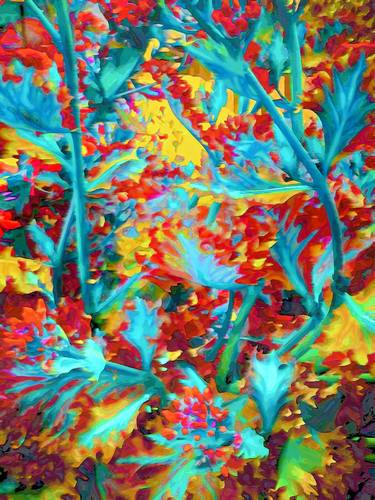 Original Expressionism Botanic Mixed Media by Mark Ross
