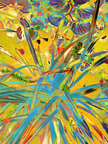 Print of Abstract Botanic Mixed Media by Mark Ross