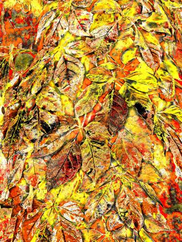 Original Expressionism Nature Digital by Mark Ross