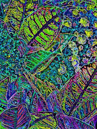 Original Abstract Botanic Mixed Media by Mark Ross