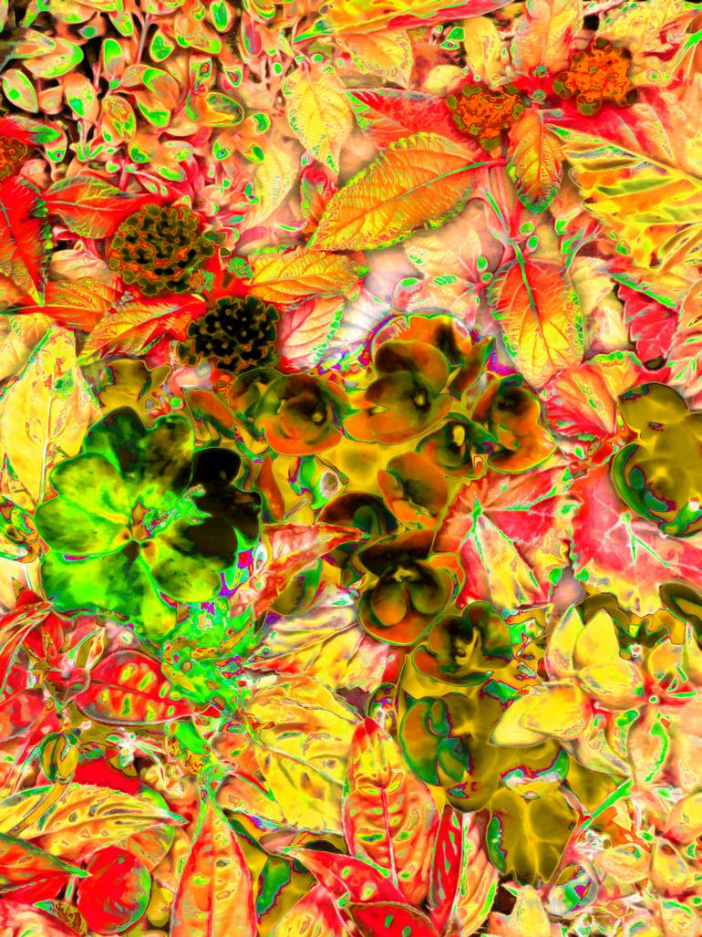 Original Abstract Nature Mixed Media by Mark Ross