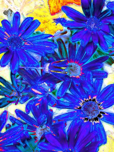 Original Contemporary Floral Mixed Media by Mark Ross
