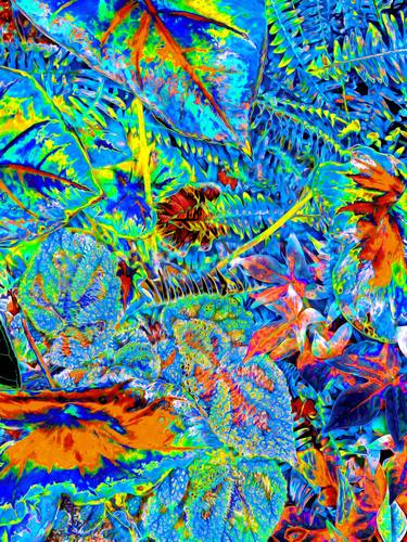 Original Contemporary Floral Mixed Media by Mark Ross