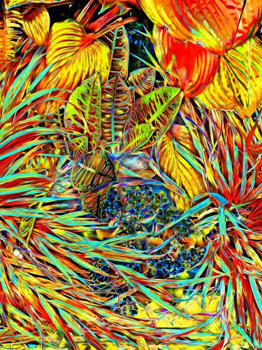 Original Contemporary Botanic Photography by Mark Ross