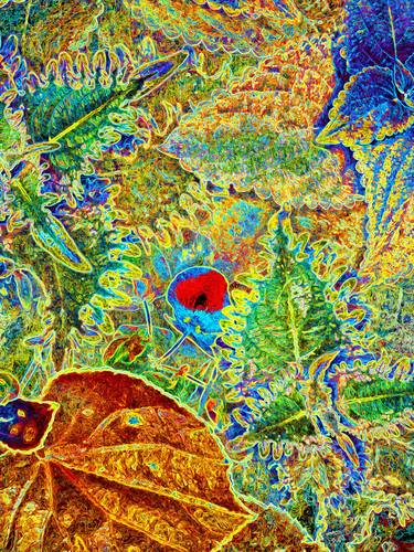Original Contemporary Botanic Mixed Media by Mark Ross