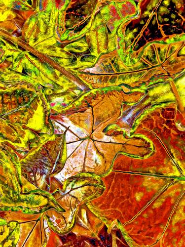 Original Abstract Botanic Mixed Media by Mark Ross