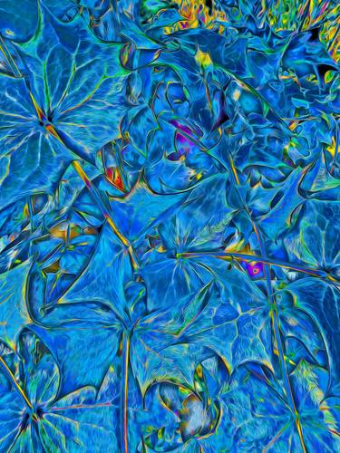 Original Contemporary Botanic Mixed Media by Mark Ross