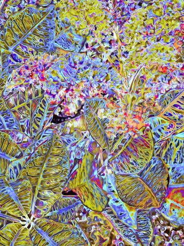 Original Abstract Botanic Mixed Media by Mark Ross