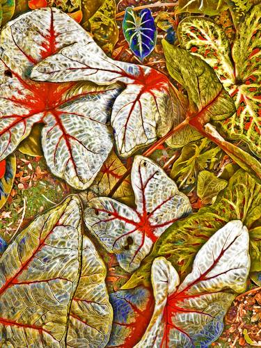 Original Contemporary Botanic Mixed Media by Mark Ross