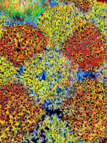 Original Abstract Botanic Photography by Mark Ross