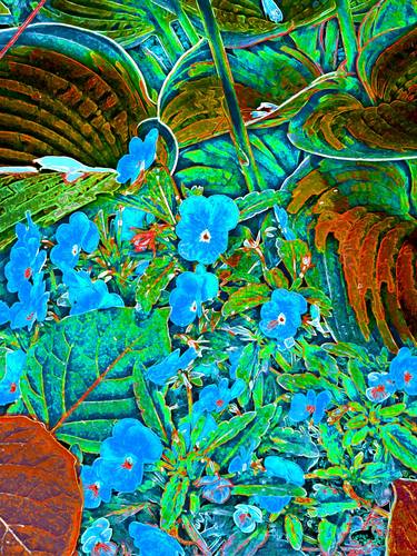 Original Contemporary Floral Mixed Media by Mark Ross