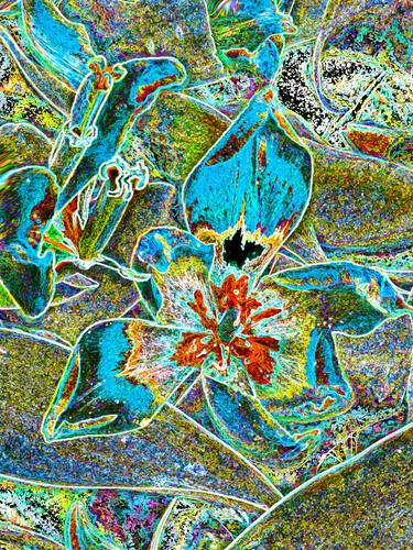 Original Abstract Floral Mixed Media by Mark Ross