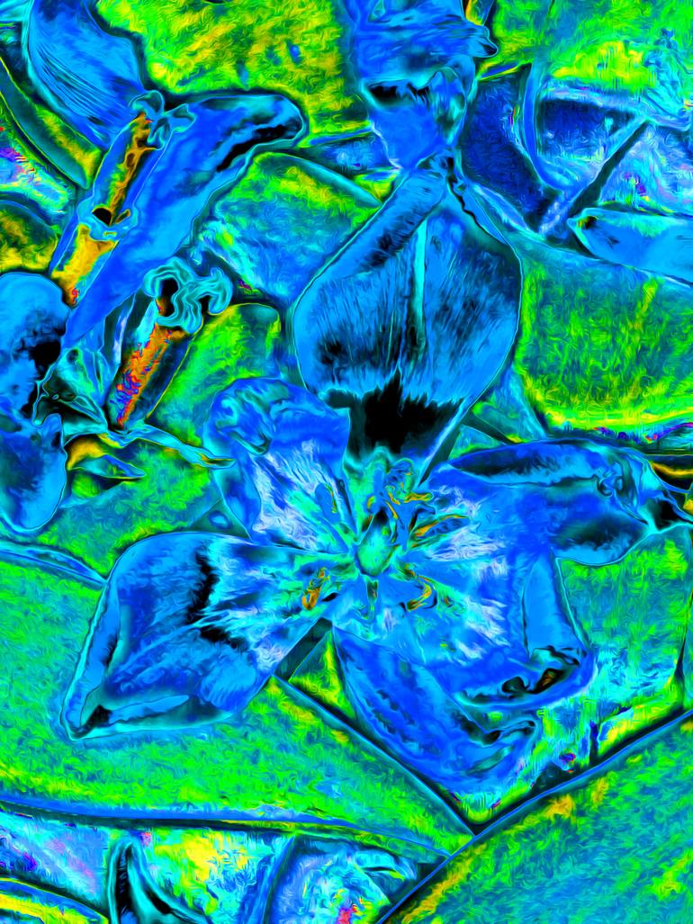 Original Abstract Floral Mixed Media by Mark Ross