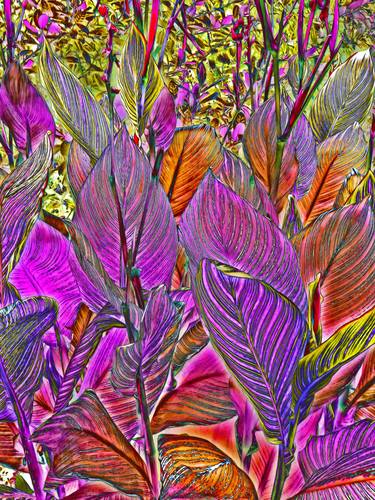 Original Abstract Botanic Mixed Media by Mark Ross