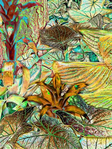Original Contemporary Botanic Mixed Media by Mark Ross