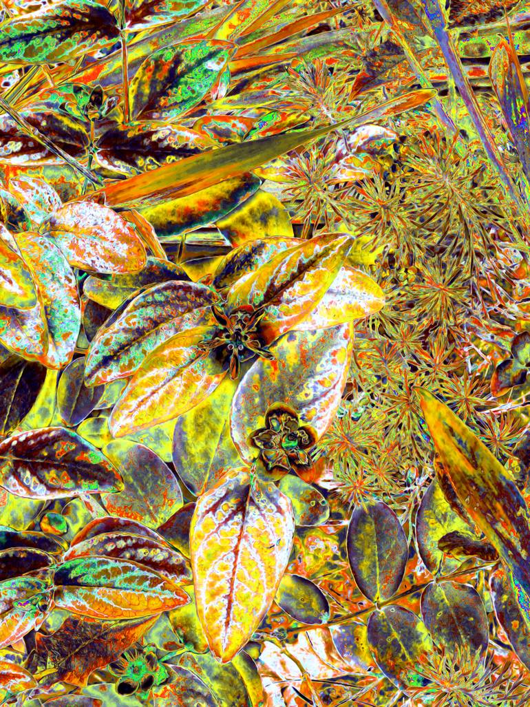 Original Contemporary Botanic Mixed Media by Mark Ross