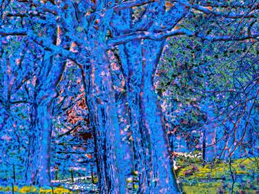 Original Color Field Painting Nature Digital by Mark Ross