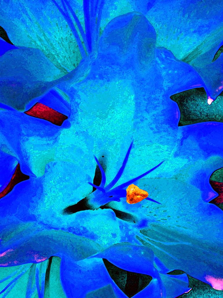 Original Expressionism Nature Photography by Mark Ross
