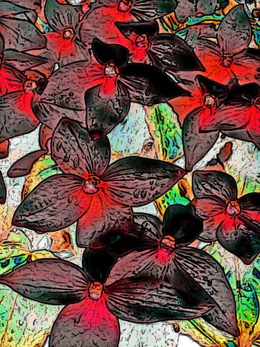 Red and Black Flowers - Limited Edition 1 of 50 thumb