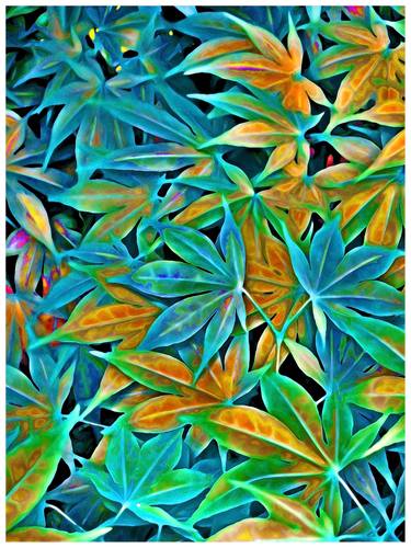 Colorful Leaves #4 - Limited Edition 1 of 50 thumb