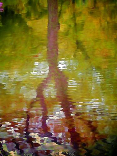 Reflections In A Pond #1 - Limited Edition 1 of 50 thumb