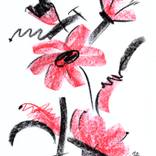 Collection root