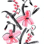 Collection root