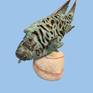 Fish-Napoleon,bronze,2023,50 W x 45H x 25 D cm