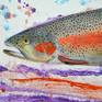 Rainbow Trout detail 1