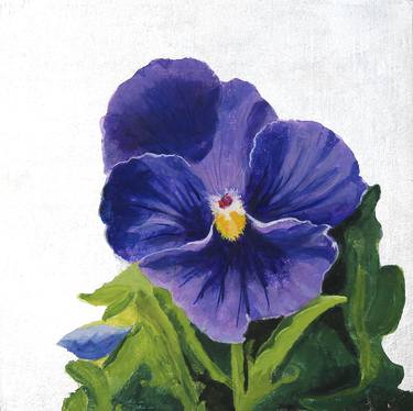 Blue Pansy on Silver Leaf thumb