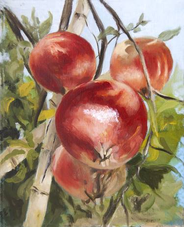 Original Realism Garden Paintings by Marny Lawton