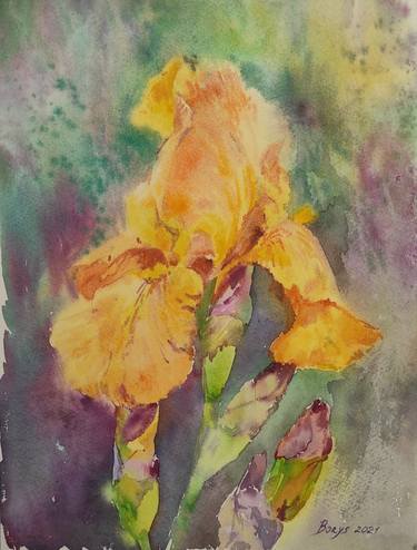 Yellow iris among the watercolor field thumb