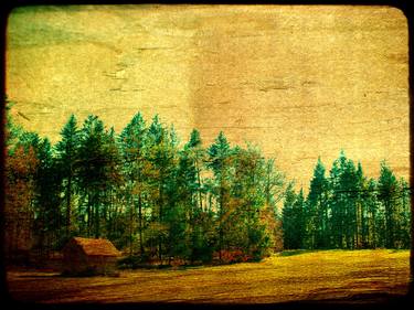 Original Impressionism Landscape Photography by N M