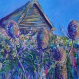 Collection Norfolk Landscapes (UK)