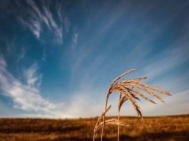 Original Fine Art Landscape Photography by Jerry Wiese