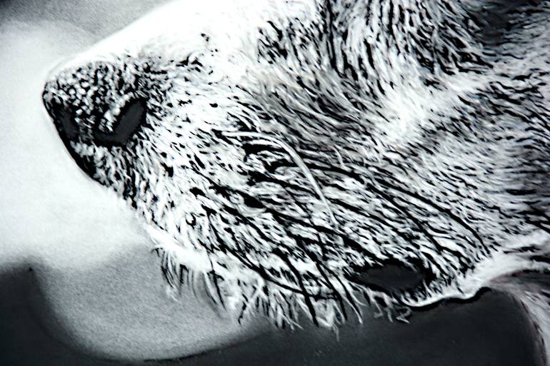 Original Photorealism Animal Photography by Brigitte Belas