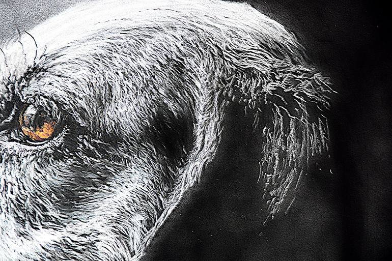 Original Photorealism Animal Photography by Brigitte Belas