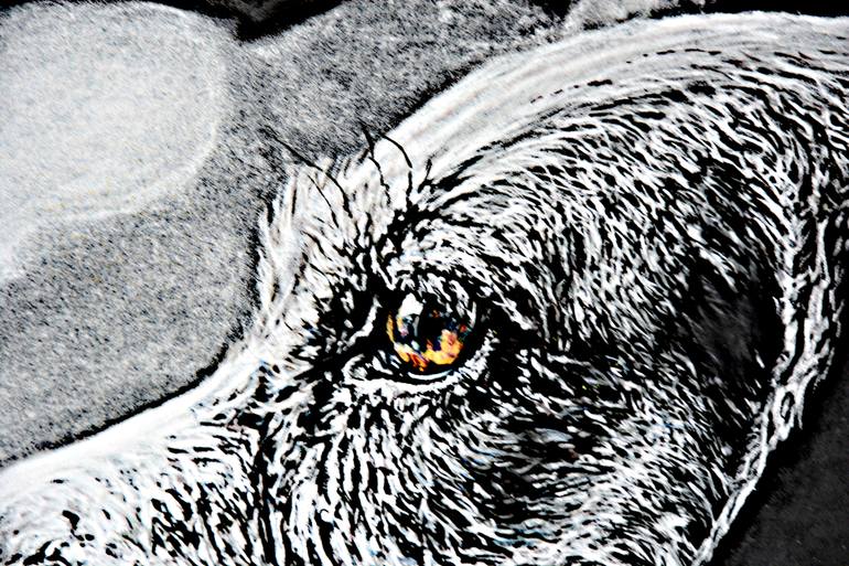 Original Photorealism Animal Photography by Brigitte Belas