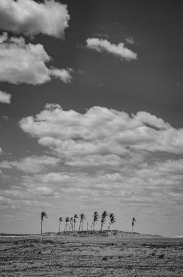 Original Abstract Nature Photography by Roberto Nocheli