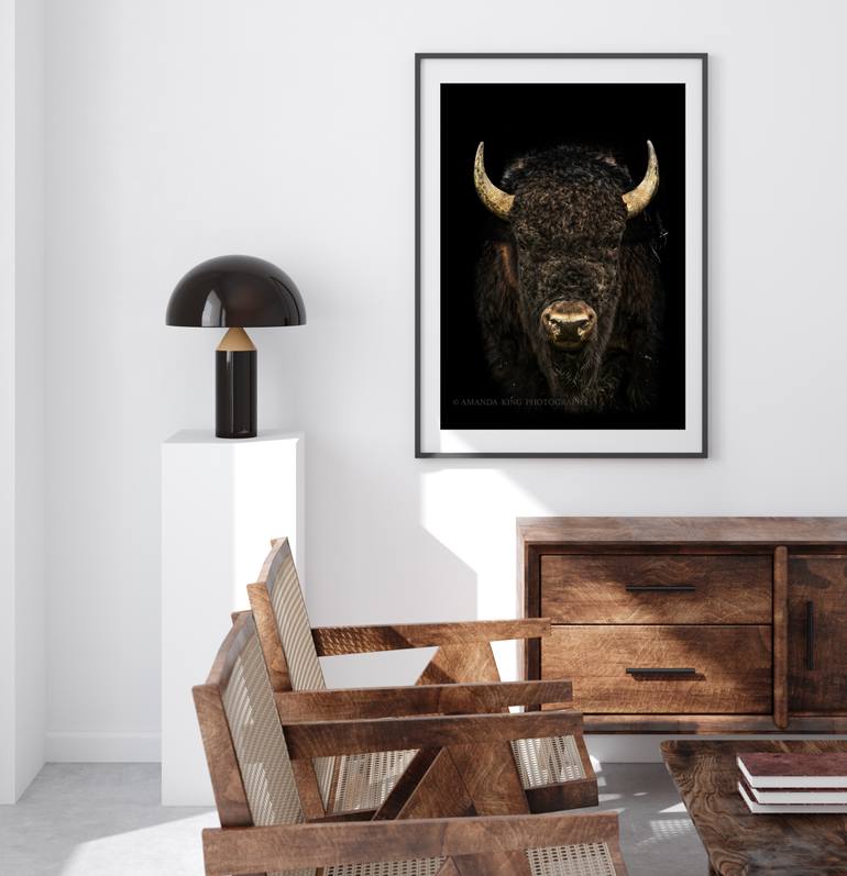 Original Other Animal Photography by Amanda King