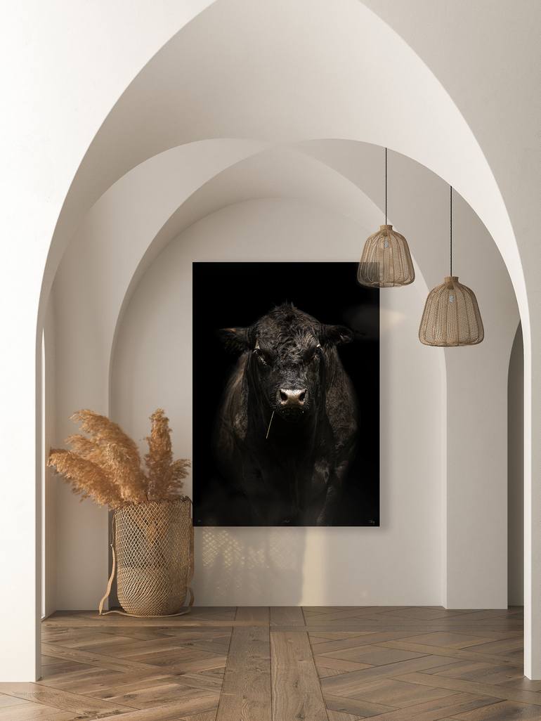 Original Fine Art Animal Photography by Amanda King