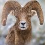 Crag's Crown : The Ram's Throne
